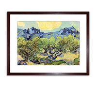 Wee Blue Coo Painting Van Gogh Landscape Olive Trees Framed Wall Art Print