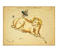 Wee Blue Coo Paintings Drawing Star Map Aries Ram Bug Constellation Art Print Poster Wall Decor 12X16 Inch