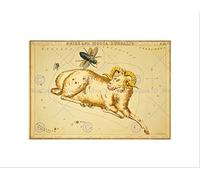 Wee Blue Coo Paintings Drawing Star Map Aries Ram Bug Constellation Wall Art Print