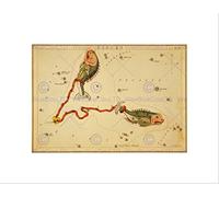 Wee Blue Coo PAINTINGS DRAWING STAR MAP PISCES FISH CONSTELLATION FRAMED ART PRINT B12X10924