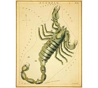Wee Blue Coo Paintings Drawing Star Map Scorpio Scorpion Constellation Art Print Poster Wall Decor 12X16 Inch