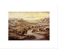Wee Blue Coo Paintings Landscape Buffalo Herd Mountain Animal Prairie Wall Art Print