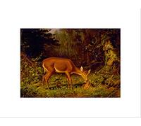 Wee Blue Coo Paintings Landscpae Deer Fawn Forest Beautiful Black Framed Art Print B12X9857