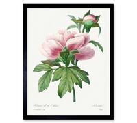 Wee Blue Coo Pale Pink Peony Bloom Floral Stem Flowers Pretty Framed Wall Art Print in Green | Size: W12" x H16" Wee Blue Coo Green W12" x H16"