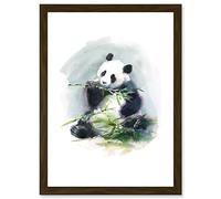 Wee Blue Coo Panda Eating Bamboo Watercolour Artwork Framed Wall Art Print A4
