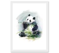 Wee Blue Coo Panda Eating Bamboo Watercolour Artwork Framed Wall Art Print A4
