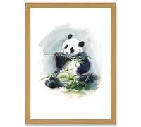 Wee Blue Coo Panda Eating Bamboo Watercolour Artwork Framed Wall Art Print A4