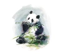 Wee Blue Coo Panda Eating Watercolour Art Print Canvas Premium Wall Decor Poster