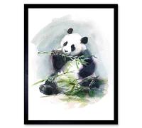 Wee Blue Coo Panda Eating Watercolour Art Print Framed Poster Wall Decor 12X16 Inch