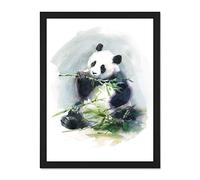 Wee Blue Coo Panda Eating Watercolour Large Framed Art Print Wall Poster 18x24 inch