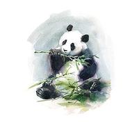 Wee Blue Coo Panda Eating Watercolour Unframed Art Print Poster Wall Decor 12x16 inch