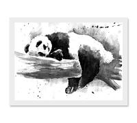 Wee Blue Coo Panda Sleeping Watercolour Black White Artwork Framed Wall Art Print A4