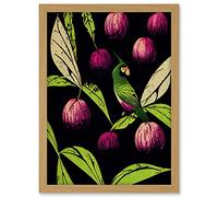 Wee Blue Coo Parrot in Tree Fruit Bright Green and Purple Black Colour Linocut Illustration Modern Vintage Artwork Framed A3 Wall Art Print