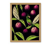 Wee Blue Coo Parrot in Tree Fruit Bright Green and Purple Black Colour Linocut Illustration Modern Vintage Artwork Framed Wall Art Print 18X24 Inch