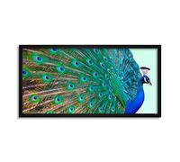 Wee Blue Coo Peacock Bird Feather Plume Long Panel Framed Wall Art Print