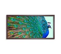 Wee Blue Coo Peacock Bird Feather Plume Long Panel Framed Wall Art Print