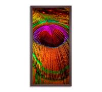 Wee Blue Coo Peacock Feather Close Up Long Panel Framed Wall Art Print