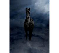 Wee Blue Coo Pegasus Black Horse Clouds Ethereal Photo Art Canvas Print