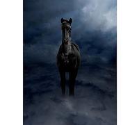 Wee Blue Coo Pegasus Black Horse Clouds Ethereal Photo Art Large Art Print Poster Wall Decor 18x24 inch