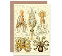 Wee Blue Coo Personalised Ernst Haeckel Octopus Squid Vintage Scientific Illustration Greeting Card Arty Art All Occasion Birthday