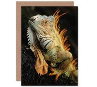 Wee Blue Coo Personalised Iguana Lizard Cool Reptile Photo Animal Greeting Card Arty Art All Occasion Birthday