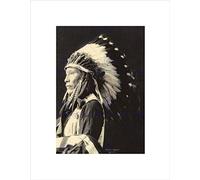Wee Blue Coo PHOTO 1898 INDIAN CONGRESS AFRAID OF EAGLE SIOUX NATIVE FRAMED PRINT B12X7576