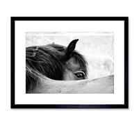 Wee Blue Coo Photo Animal Black White Horse Mane Eye Picture Framed Wall Art Print