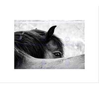 Wee Blue Coo Photo Animal Black White Horse Mane Eye Picture Wall Art Print