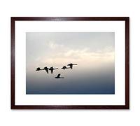 Wee Blue Coo Photo Animal Flock Skein Gaggle Geese Flight Bird Framed Wall Art Print