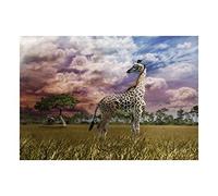 Wee Blue Coo Photo Animal Giraffe Elephant Storm Clouds Africa Wall Art Print