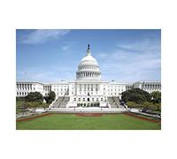 Wee Blue Coo Photo Architecture United States America Capitol Hill Wall Art Print