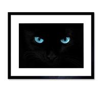 Wee Blue Coo Photo Black Cat Blue Eyes Panther Framed Wall Art Print