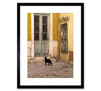 Wee Blue Coo Photo Black Cat Contrast Yellow Brick Old Door Framed Wall Art Print