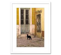 Wee Blue Coo Photo Black Cat Contrast Yellow Brick Old Door Framed Wall Art Print