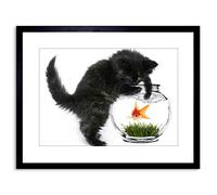 Wee Blue Coo PHOTO BLACK KITTEN CAT PLAYING GOLDFISH BOWL HOME FRAMED PRINT F97X2820