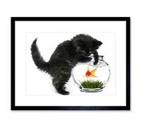 Wee Blue Coo Photo Black Kitten Cat Playing Goldfish Bowl Home Framed Wall Art Print