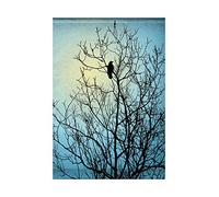 Wee Blue Coo Photo Black Tree Blue Illustration Raven Silhouette Wall Art Print
