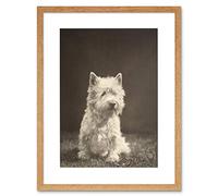 Wee Blue Coo Photo Black White 1930s Westie Dog Animal Framed Wall Art Print