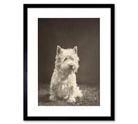 Wee Blue Coo Photo Black White 1930s Westie Dog Animal Framed Wall Art Print