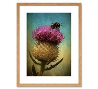 Wee Blue Coo Photo Bumble Bee Thistle Flower Scotland Framed Wall Art Print