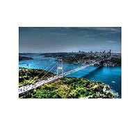 Wee Blue Coo Photo Cityscape Istanbul Turkey Bridge River Cool Wall Art Print