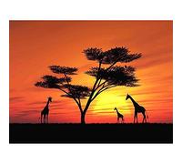 Wee Blue Coo Photo Composition African Sun Silhouette Giraffe Art Print Poster Wall Decor 12X16 Inch