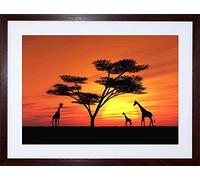 Wee Blue Coo Photo Composition African Sun Silhouette Giraffe Picture Framed Wall Art Print