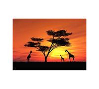 Wee Blue Coo Photo Composition African Sun Silhouette Giraffe Picture Wall Art Print