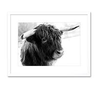 Wee Blue Coo Photo Composition Animal Livestock Highland Cow Bull Framed Wall Art Print