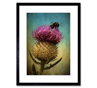 Wee Blue Coo Photo Composition Bumble Bee Thistle Flower Scotland Framed Wall Art Print