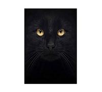 Wee Blue Coo Photo Composition Close Up Pet Black Cat Face Eyes Wall Art Print