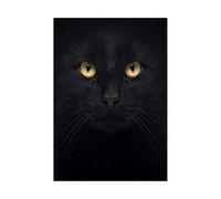 Wee Blue Coo Photo Composition Close Up Pet Black Cat Face Eyes Wall Art Print