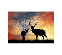 Wee Blue Coo Photo Composition Deer Silhouette Sunset Sky Stag Picture Wall Art Print