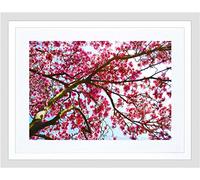 Wee Blue Coo Photo Composition Pink Blossom Spring Tree Branch Framed Wall Art Print
